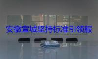 安徽宣城坚持标准引领服务发展新质生产力